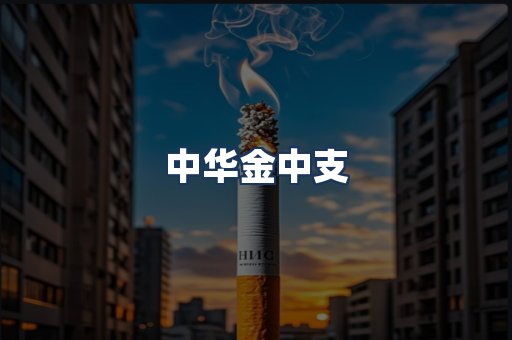 中华金中支